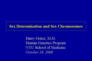 Sex Determination and Sex Chromosomes Harry Ostrer M