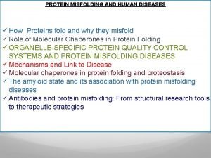 PROTEIN MISFOLDING AND HUMAN DISEASES How Proteins fold