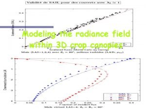 Modeling the radiance field within 3 D crop