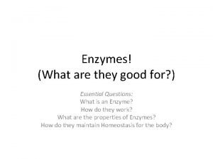 Enzymes What are they good for Essential Questions