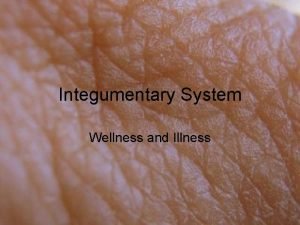 Integumentary System Wellness and Illness Wellness and Illness