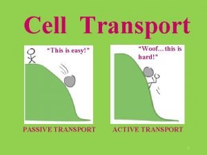Cell Transport This is easy PASSIVE TRANSPORT Woofthis