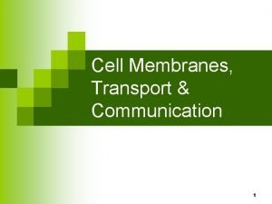 Cell Membranes Transport Communication 1 Cell Membrane Most