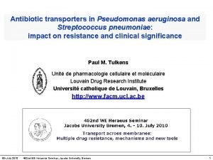 Antibiotic transporters in Pseudomonas aeruginosa and Streptococcus pneumoniae