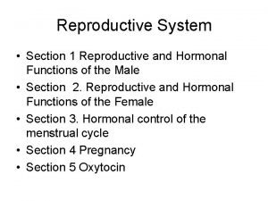 Physiological function of estrogen Physiological function of estrogen