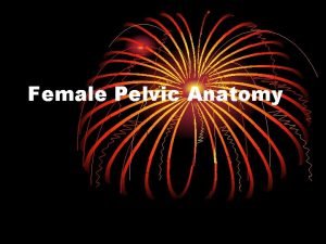 Female Pelvic Anatomy The hip bone is originally