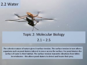 2 2 Water Topic 2 Molecular Biology 2