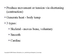 The Muscular System Produce movement or tension via