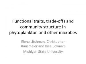 Functional traits tradeoffs and community structure in phytoplankton