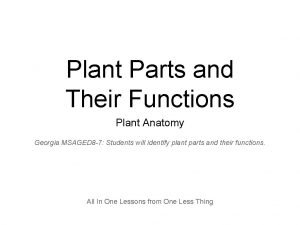 What are the six parts of the plant and their functions