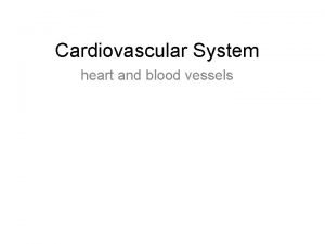 Cardiovascular System heart and blood vessels Systemic Circulation
