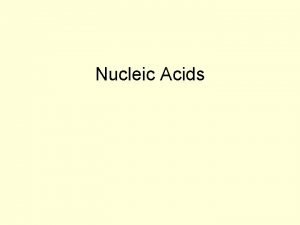 Nucleic Acids Central dogma of biology replication transcription Nucleic Acids Central dogma of biology replication transcription