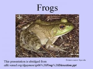 Frogs Picture source fcps edu This presentation is
