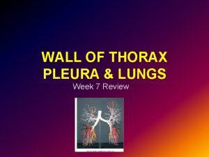 WALL OF THORAX PLEURA LUNGS Week 7 Review