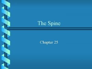 Chapter 25 worksheet the spine Chapter 25 worksheet the spine