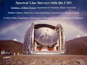 Spectral Line Surveys with the CSO Susanna L