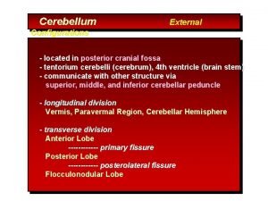 Cerebellum External Configurations located in posterior cranial fossa