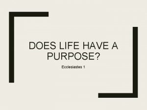 Does life have a purpose
