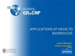 APPLICATIONS OF GRIDS TO BIOMEDICINE Ignacio Blanquer Vicente