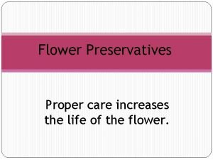 Flower Preservatives Proper care increases the life of