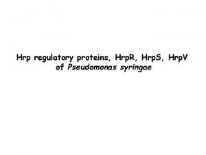 Hrp regulatory proteins Hrp R Hrp S Hrp