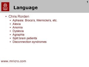 1 Language Chris Rorden Aphasia Brocas Wernickes etc