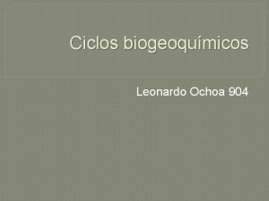 Fases del ciclo del nitrógeno