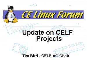 CELF Contract Work Update on CELF Projects Tim
