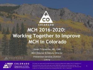 MCH 2016 2020 Working Together to Improve MCH