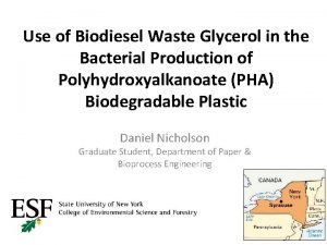 Use of Biodiesel Waste Glycerol in the Bacterial