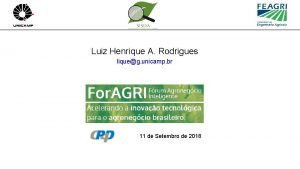 Luiz Henrique A Rodrigues liqueg unicamp br 11