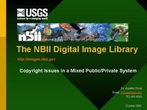 The NBII Digital Image Library http images nbii