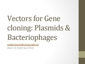 Vectors for Gene cloning Plasmids Bacteriophages khadijahhanimunimap edu