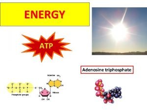 ENERGY ATP Adenosine triphosphate Why do you need