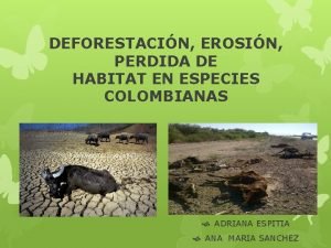 DEFORESTACIN EROSIN PERDIDA DE HABITAT EN ESPECIES COLOMBIANAS