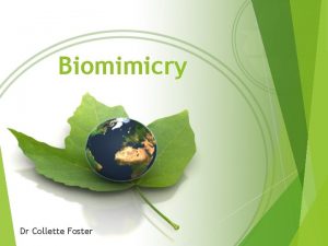 Biomimicry Dr Collette Foster What is biomimicry Biomimicry