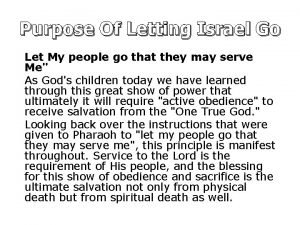 Purpose Of Letting Israel Go Let My people