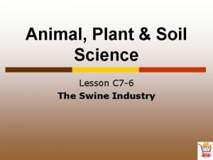 Animal Plant Soil Science Lesson C 7 6