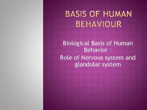 Biological Basis of Human Behavior Role of Nervous