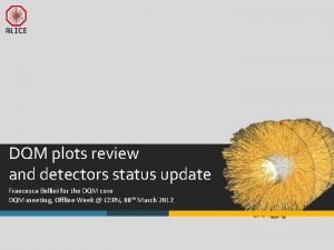 DQM plots review and detectors status update Francesca