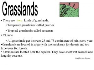 There are two kinds of grasslands Temperate grasslands