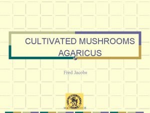 CULTIVATED MUSHROOMS AGARICUS Fred Jacobs Mat Kersten KCB