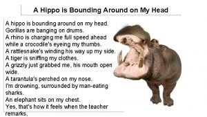 A Hippo is Bounding Around on My Head