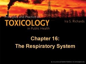 Chapter 16 The Respiratory System The Respiratory System