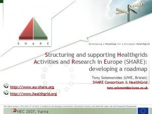 Structuring and supporting Healthgrids Activities and Research in