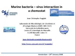 Marine bacteria virus interaction in a chemostat JeanChristophe