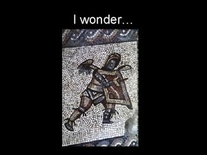 Wonder roman
