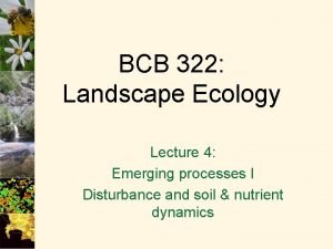 BCB 322 Landscape Ecology Lecture 4 Emerging processes