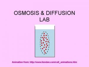OSMOSIS DIFFUSION LAB Animation from http www lionden