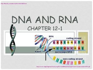 http faculty uca edujohncmbi 1440 htm DNA AND